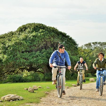 De Hoop Collection - Campsite Rondawels De Hoop Nature Reserve Buitenkant foto