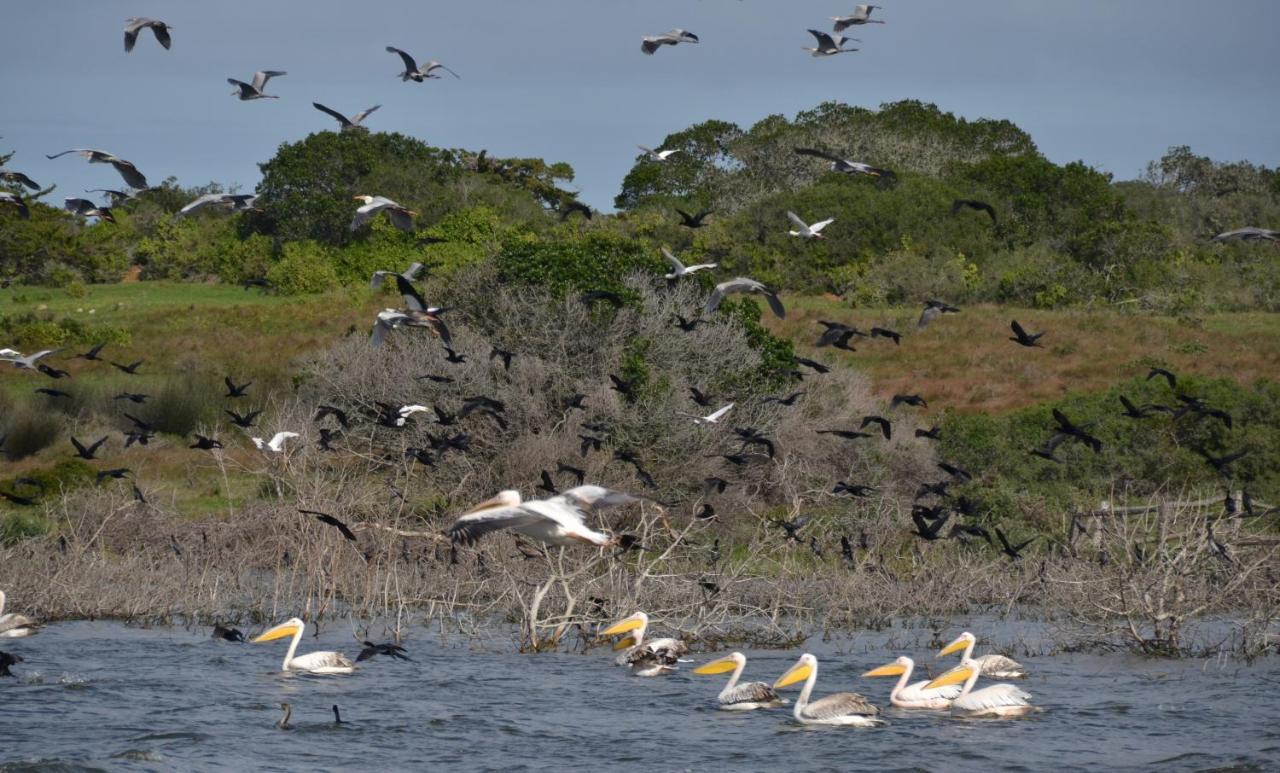 De Hoop Collection - Campsite Rondawels De Hoop Nature Reserve Buitenkant foto