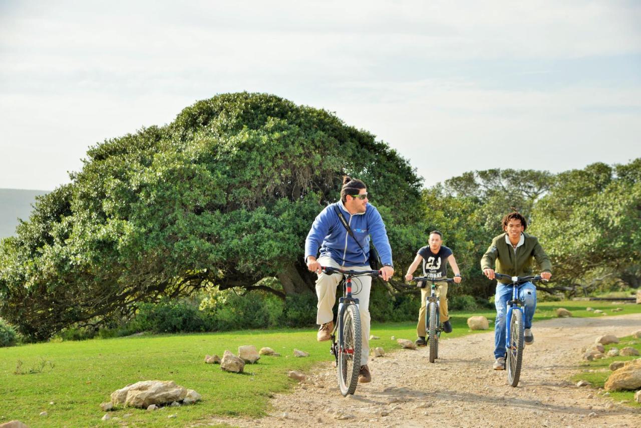 De Hoop Collection - Campsite Rondawels De Hoop Nature Reserve Buitenkant foto